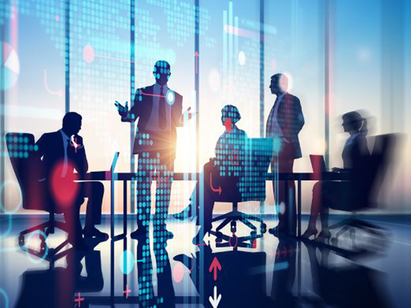 lcg consalting organizacija poslovanja